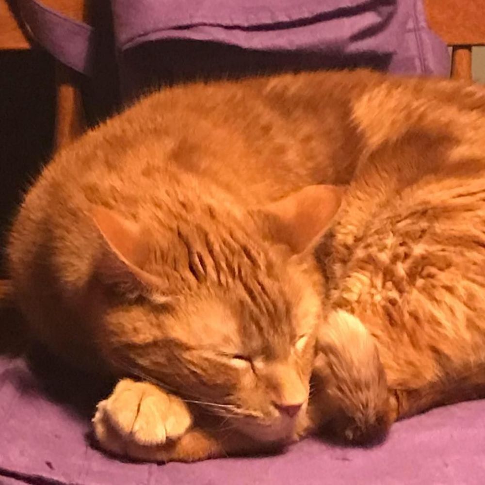 Meet your Posher, Rita